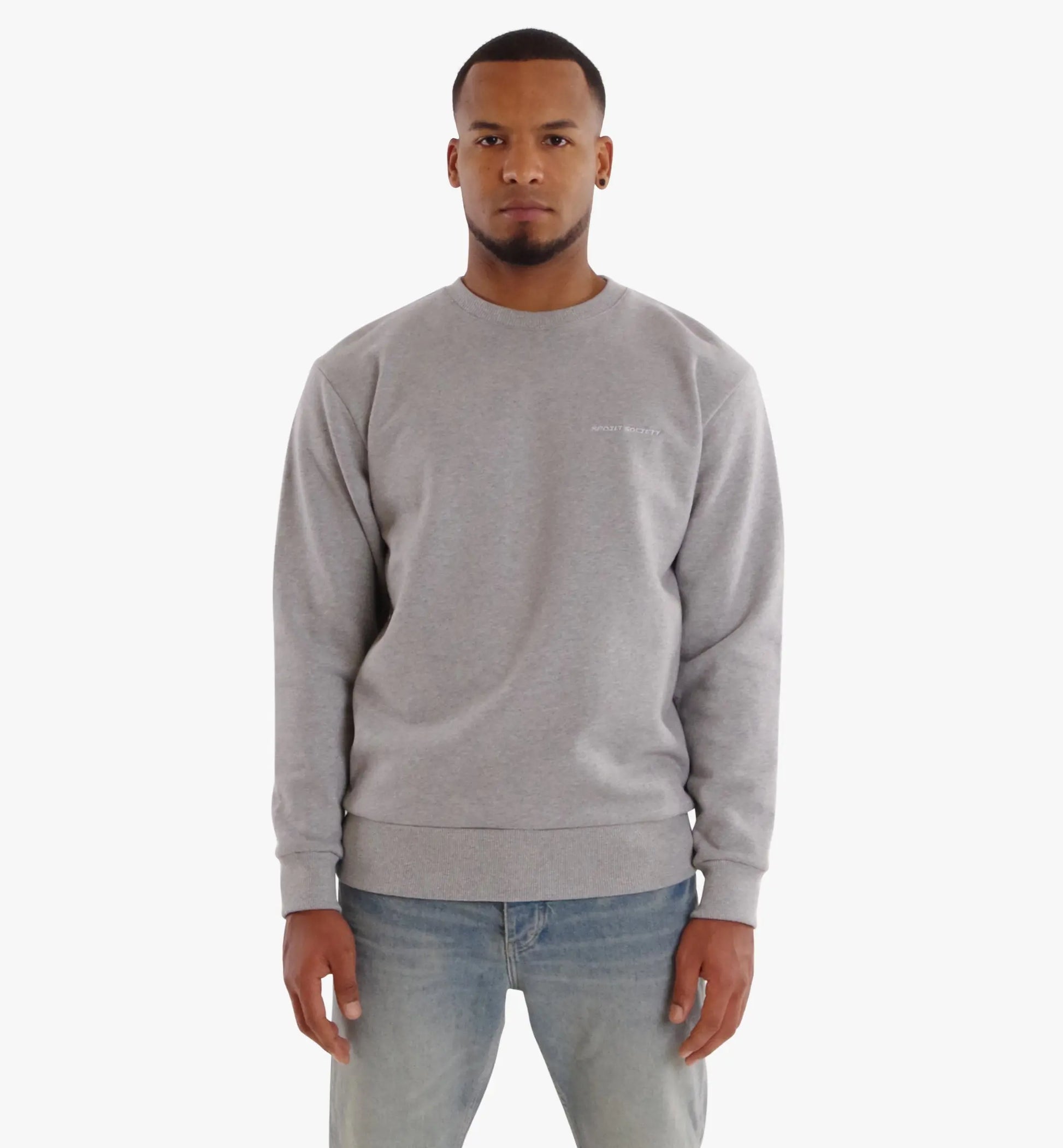 Crewneck Basic Grey SPOILT SOCIETY